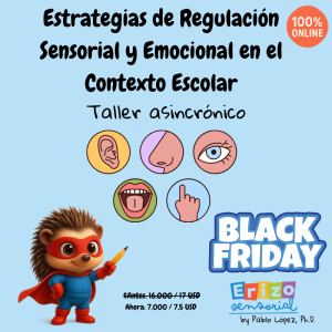 Taller asincrónico: Estrategias de Regulación Sensorial y Emocional en el Contexto Escolar