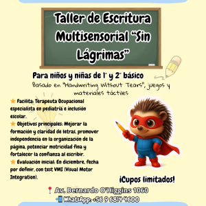 Taller Escritura sin Lágrimas
