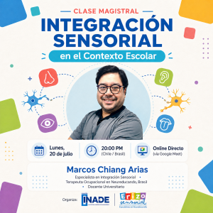 🧠 Clase Magistral: IS en el Contexto Escolar