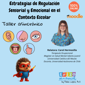 Taller asincrónico: Estrategias de Regulación Sensorial y Emocional en el Contexto Escolar