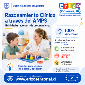 Razonamiento Clínico a través del AMPS: habilidades motoras y de procesamiento