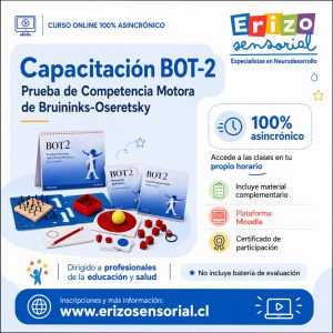 Capacitación BOT-2 - Prueba de Competencia Motora de Bruininks-Oseretsky