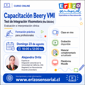 Capacitación Beery VMI - Test de Integración Visomotora (6ta Edición)