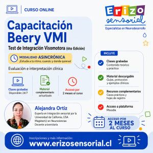 Capacitación VMI — Prueba del Desarrollo de la Integración Visomotora Beery-Buktenica (Asincrónico)