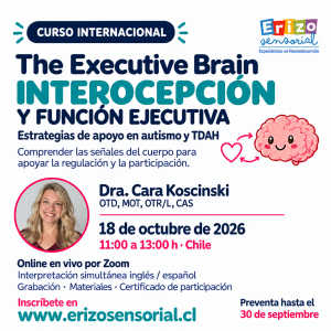 🧠 The Executive Brain 🚂