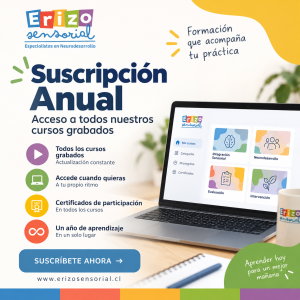Membresía Erizo Sensorial — Acceso a todo el catálogo de cursos grabados por 1 año